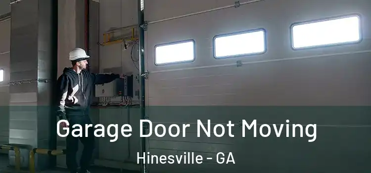  Garage Door Not Moving Hinesville - GA