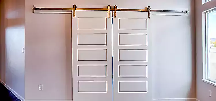 Glass Barn Door with Installation Hardware Kit Hinesville
