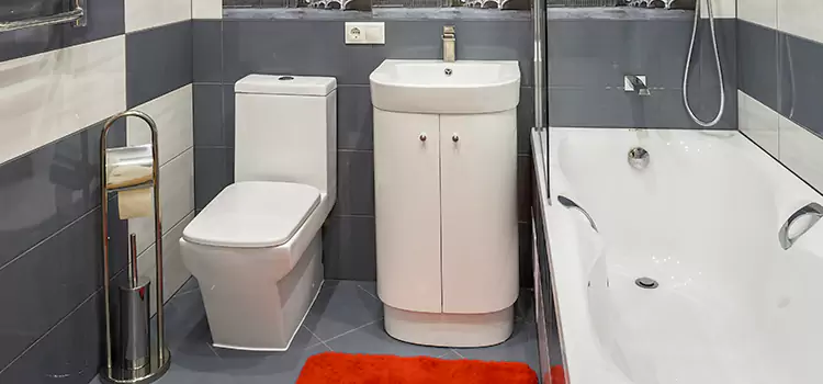 Hansgrohe Shaving Mirror Hinesville